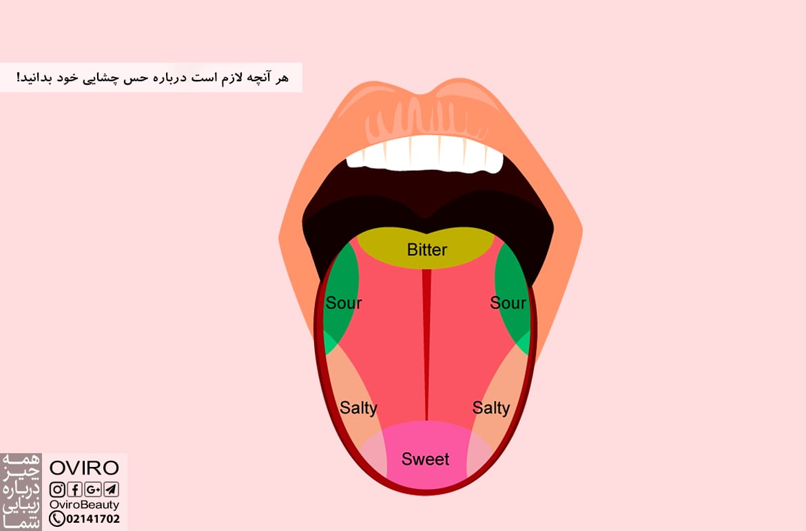 هر آنچه لازم است درباره حس چشایی خود بدانید!