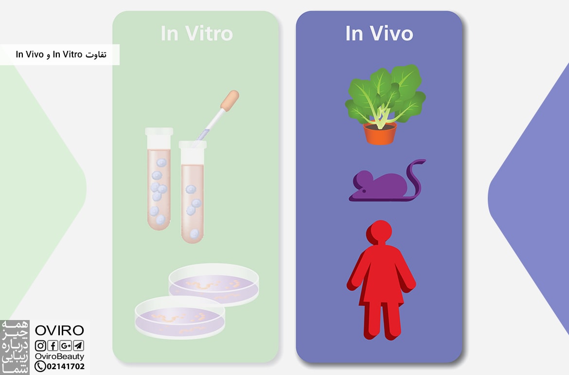 تفاوت In Vivo و In Vitro