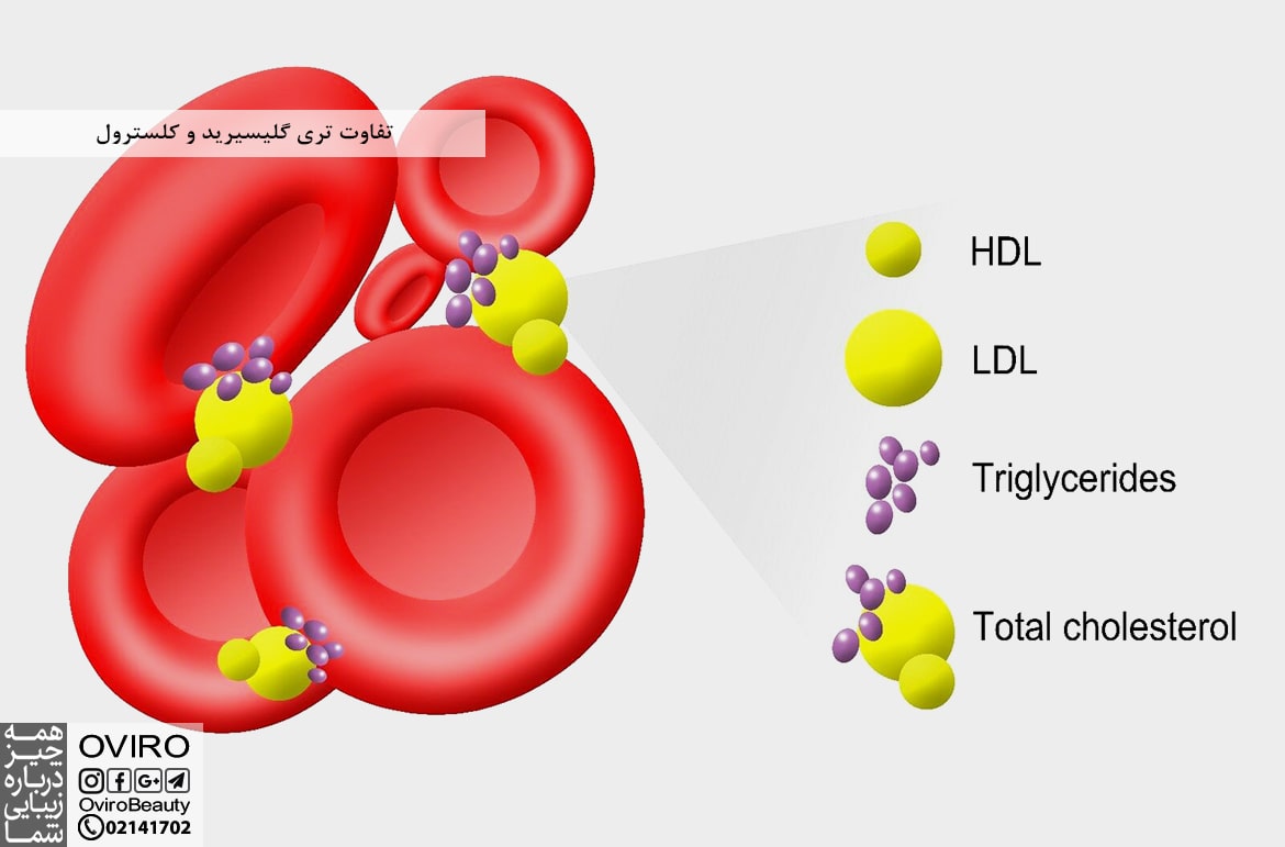 تفاوت تری گلیسیرید و کلسترول