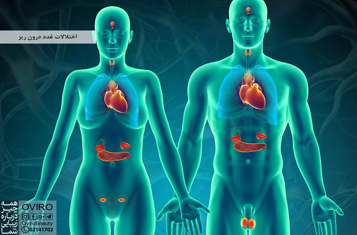 اختلالات غدد درون ریز : انواع - علائم - علت - درمان | بیماری های سیستم غدد درون ریز
