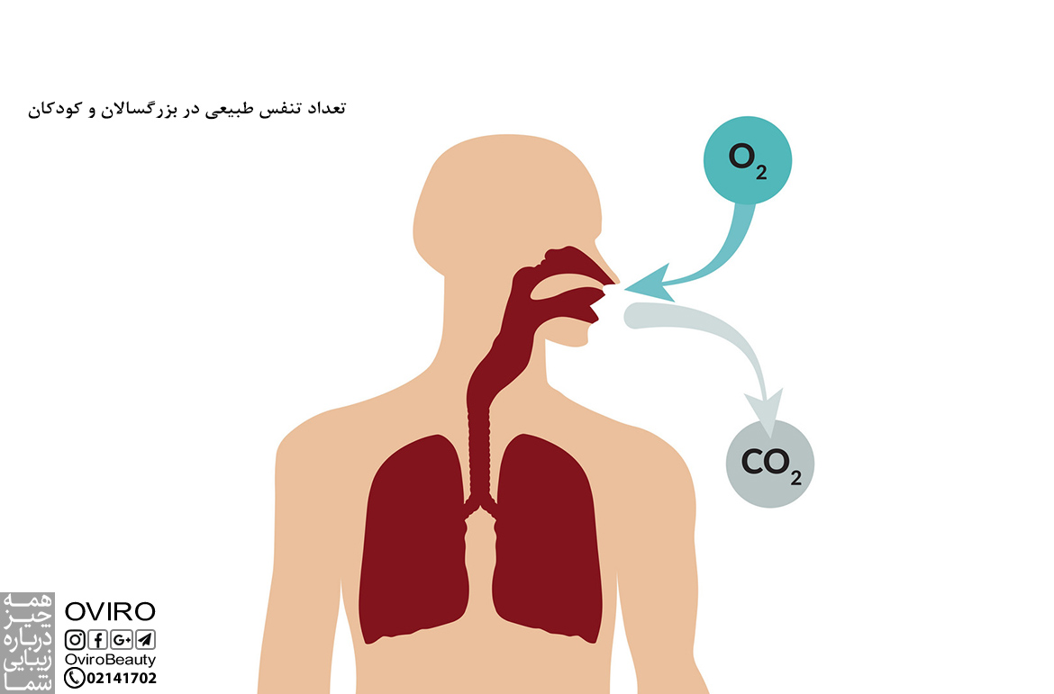 تعداد تنفس طبیعی در بزرگسالان و کودکان | علت افزایش و کاهش تعداد تنفس در دقیقه