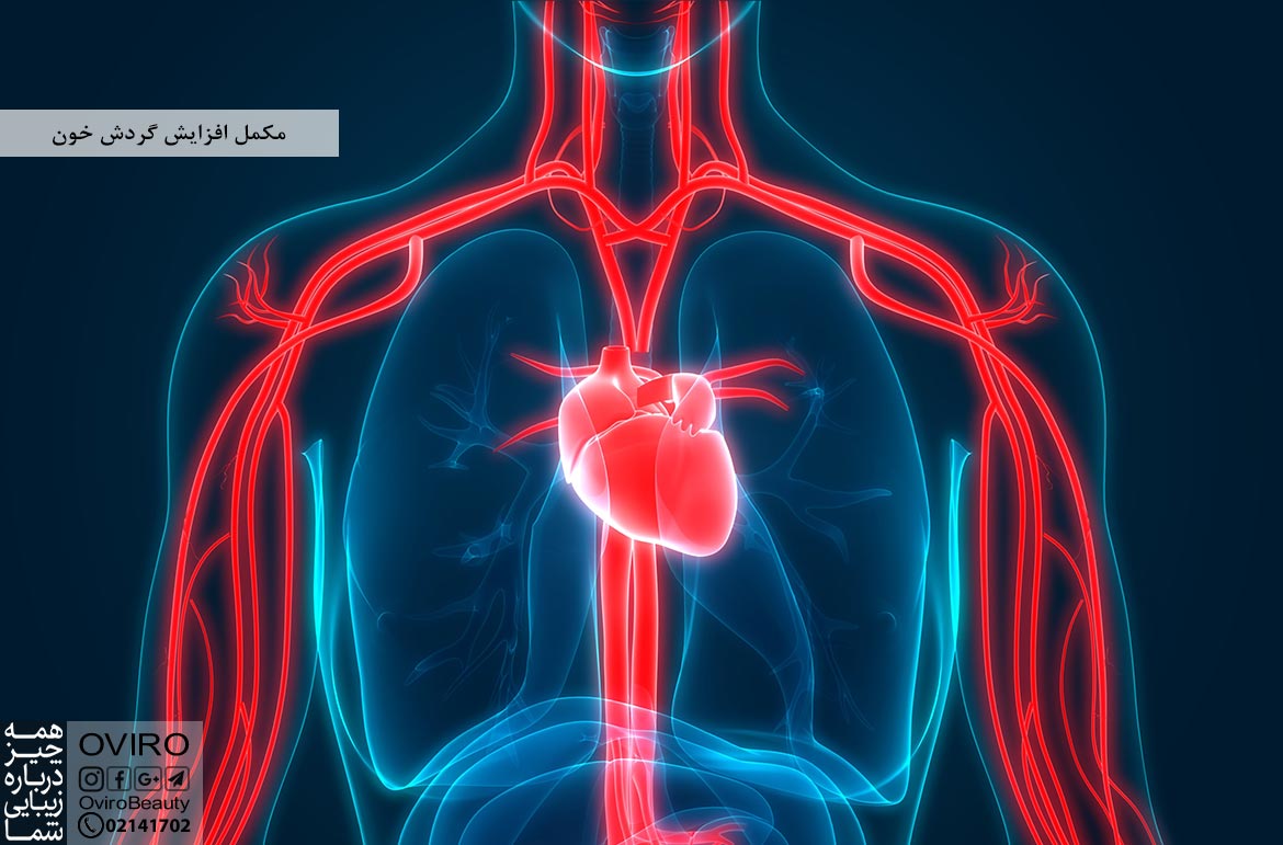 مکمل افزایش گردش خون : برای بهبود گردش خون چه کنیم؟