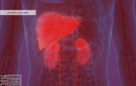 انواع سندرم هپاتورنال : علائم - علت - تشخیص - پیشگیری - چشم انداز